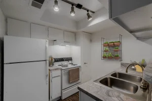 kitchen at The Cross Creek Apartments